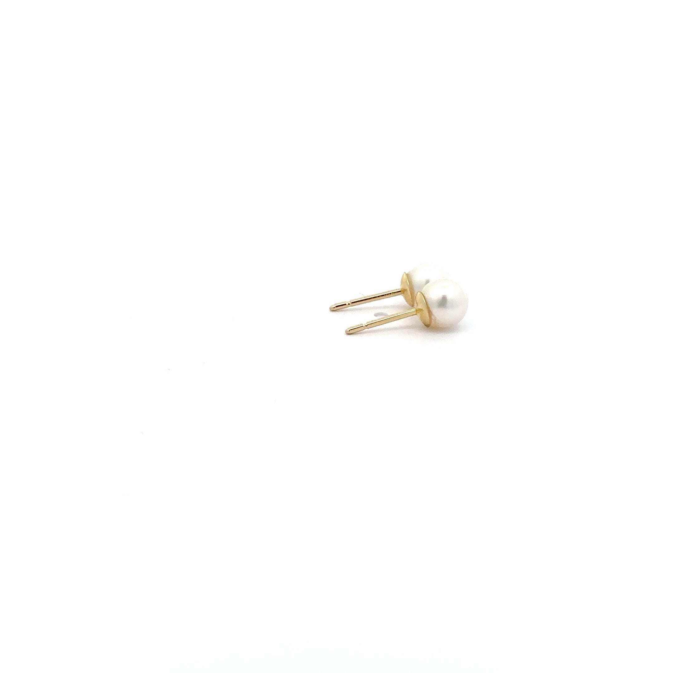WD1170 14kt Gold 5mm Cultured Pearl Studs
