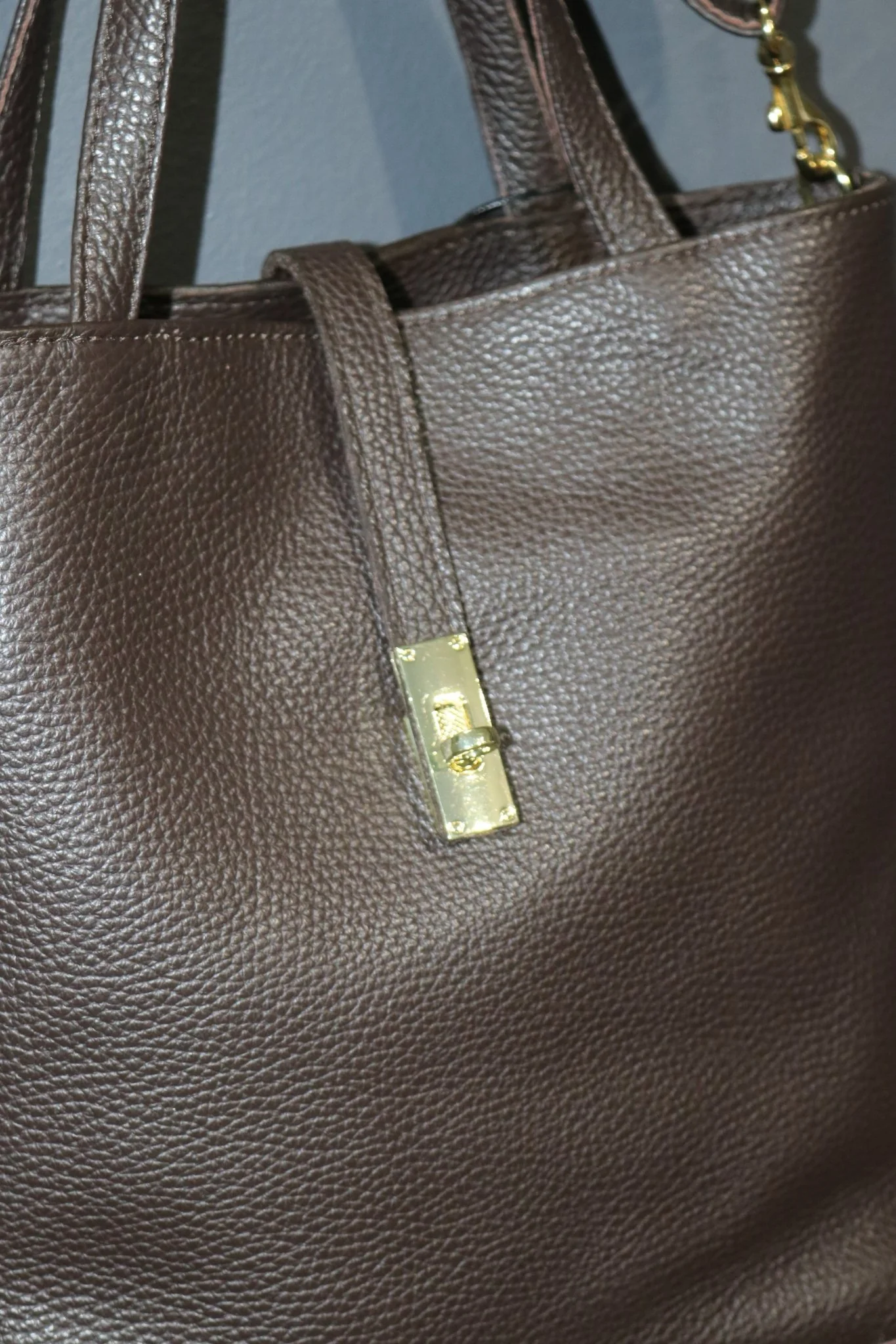 CH Sienna Carla Mancini Bag