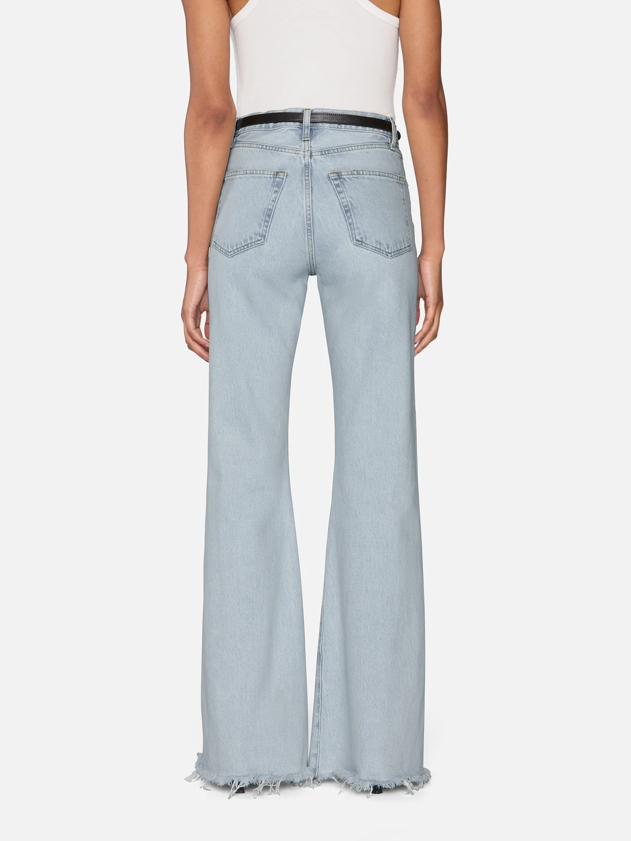 3003RF105antr FRAME The Lax